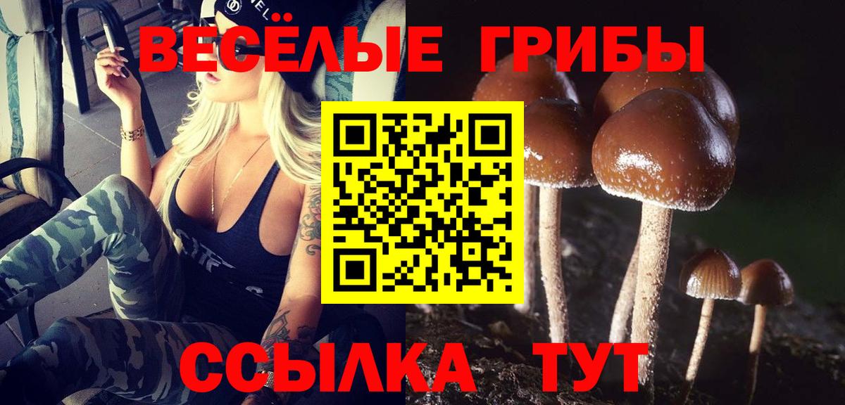 Галлюциногенные грибы прущие грибы  Псилоцибиновые грибы мухоморы  как найти закладки  Вход с VPN  Назрань 